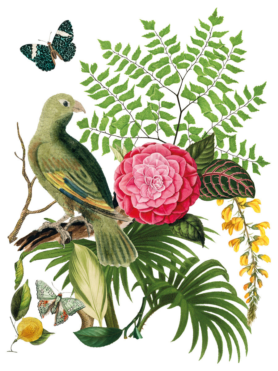 transferovy obrazok na nabytok  s tropickym botanickym motivom floral