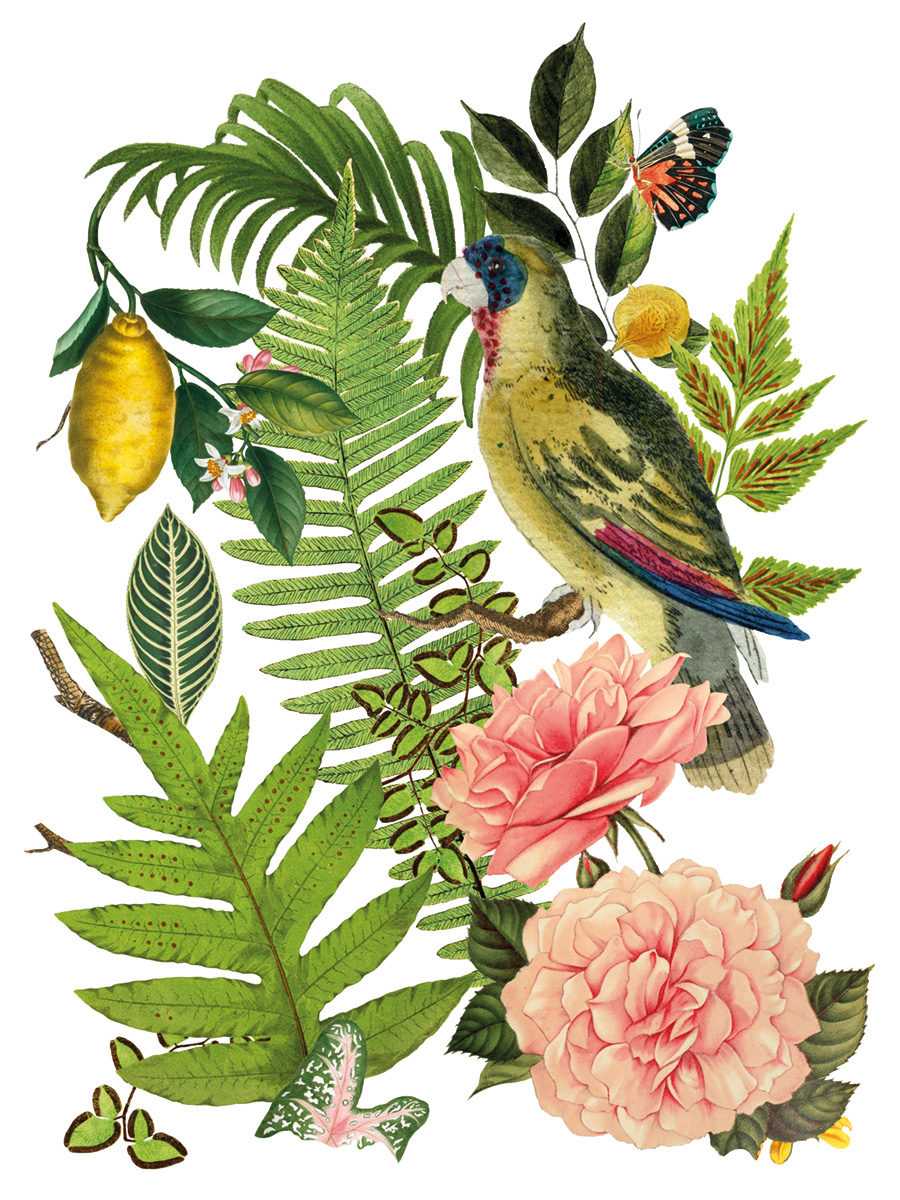 transferovy obrazok na nabytok  s tropickym botanickym motivom floral