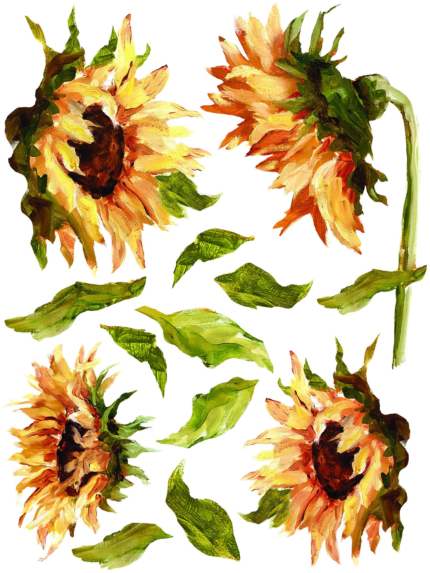 IOD Transfer Painterly Floral