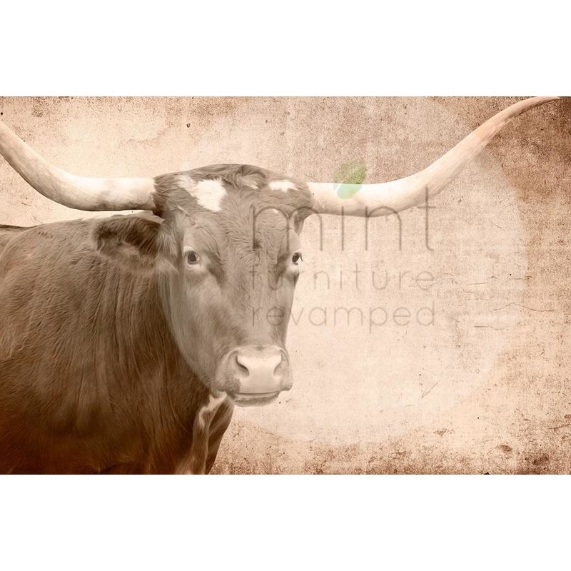 Texas Longhorn