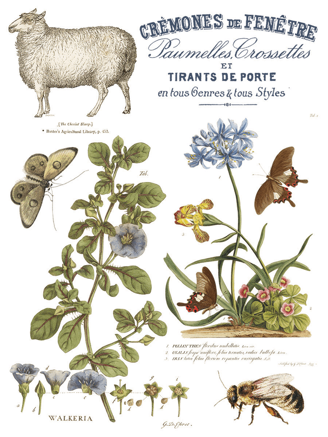 transferový papier s motívom zvierat a rastlín